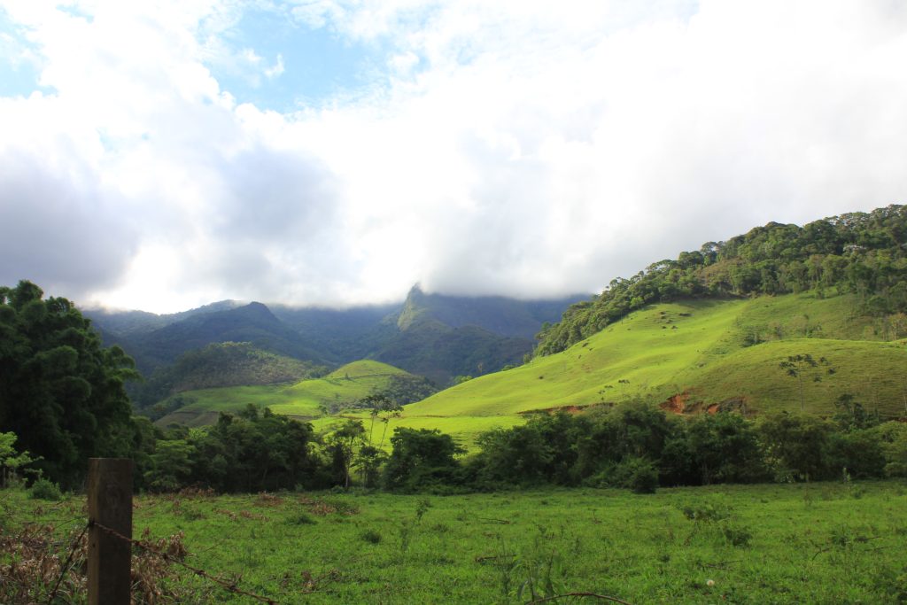 ICT For Ecological Development In Atlantic Rainforest